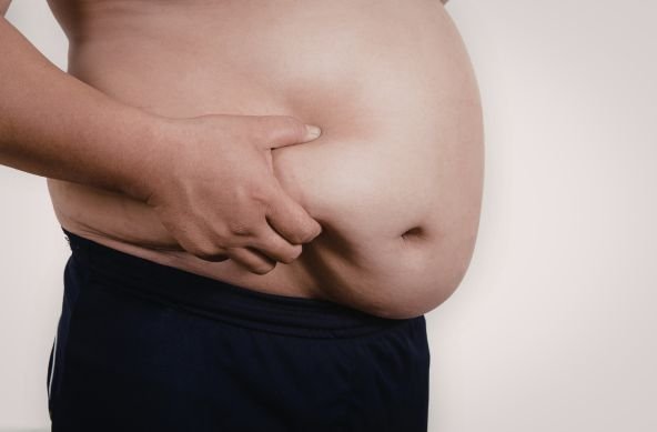 uric acid and obesity