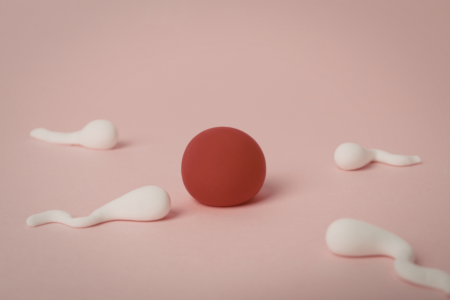 sperm health on mind and body